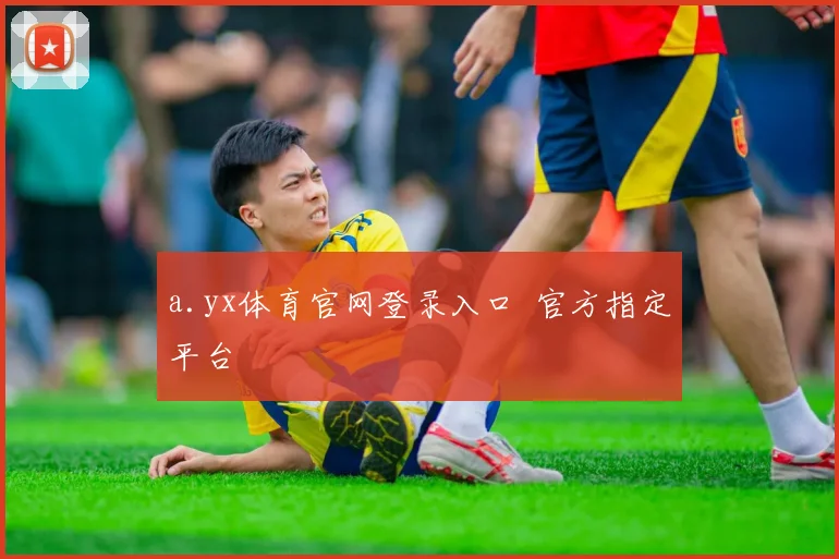 a.yx体育官网登录入口 官方指定平台